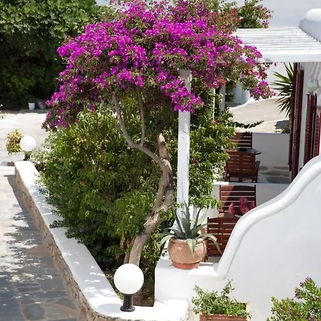 Domna Hotel Mykonos Town
