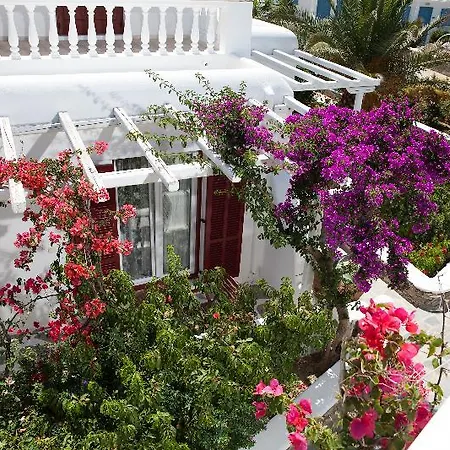 Hotel Domna